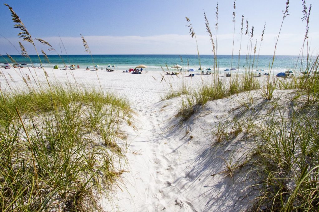 A beach in South Walton County, Florida