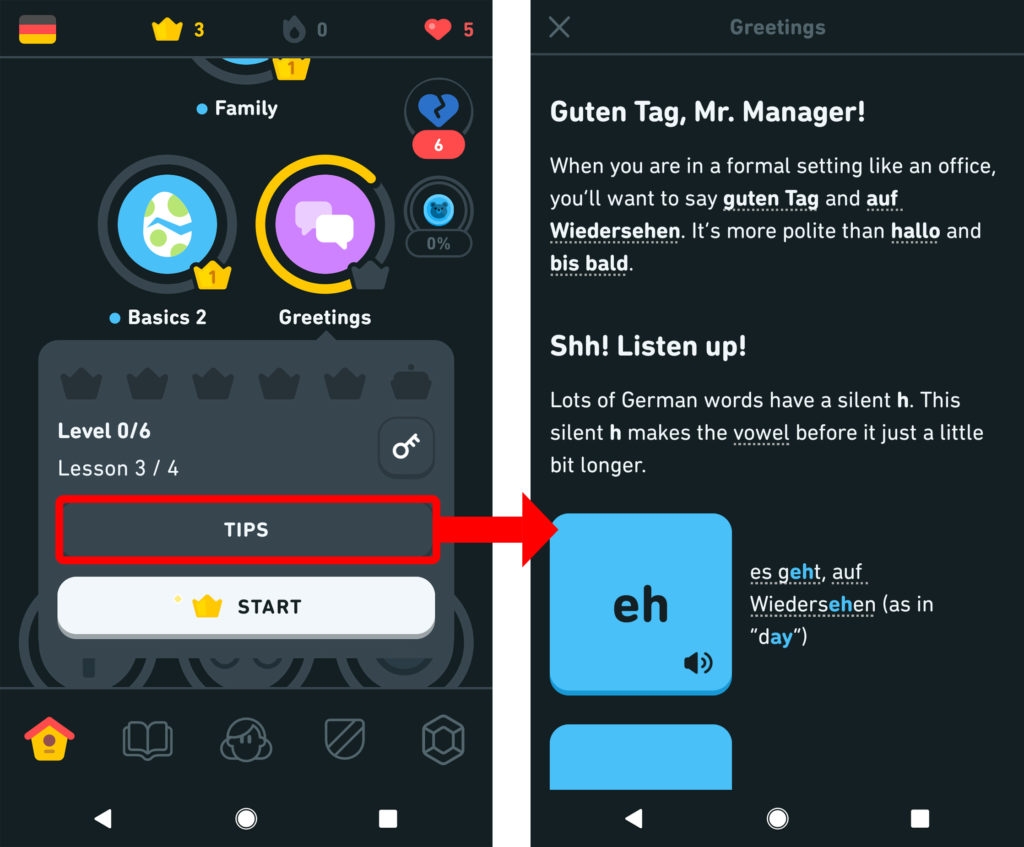Screenshots of where to go in the Duolingo app to find the Tips feature next to a screenshot of the Tips feature for a German lesson