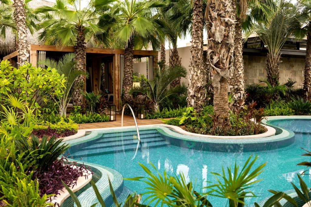 Courtyard with tropical trees and tall grasses surrounding a pool at Zadun in Cabo