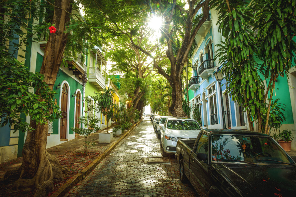 Street surrounded by greenery in San Juan, Puerto Rico