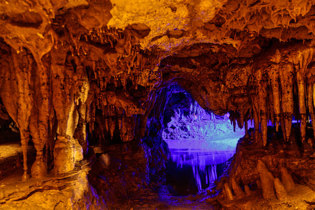 Florida Caverns State Park - Marianna, FL