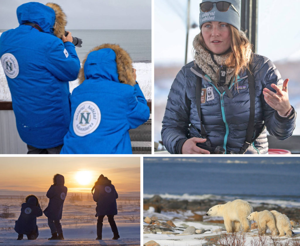 A collage of images of women taking part in the Natural Habitat Adventures: Churchill Polar Bear Tours, one of many women-only trips