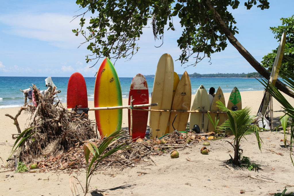Surfboards lined up at the beach, Costa Rica