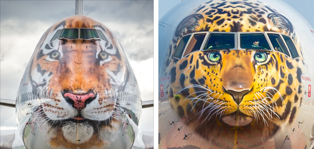 Tigrolet (left) and Leolet (right) jets painted like a tiger and a leopard from Rossiya Airlines
