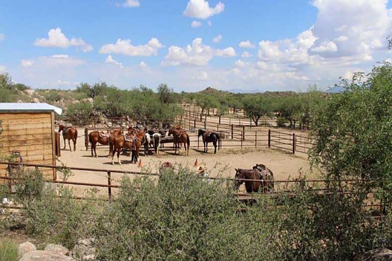 Tombstone Monument Guest Ranch horse corral