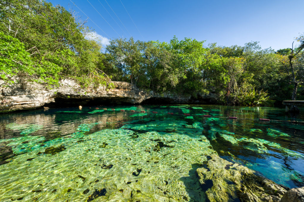 Cenote Azul in the Riviera Maya in Mexico