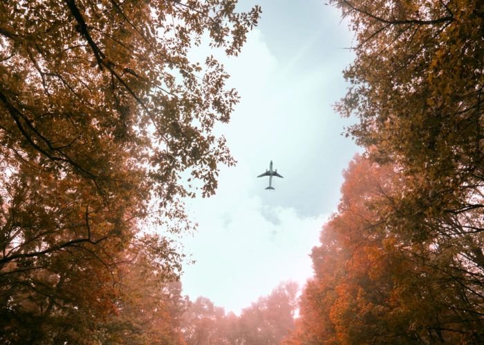 Airplane flying through the sky as seen from the ground through autumn trees