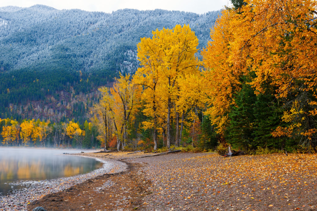 Fall foliage by a lake at Glacier National Park, Montana