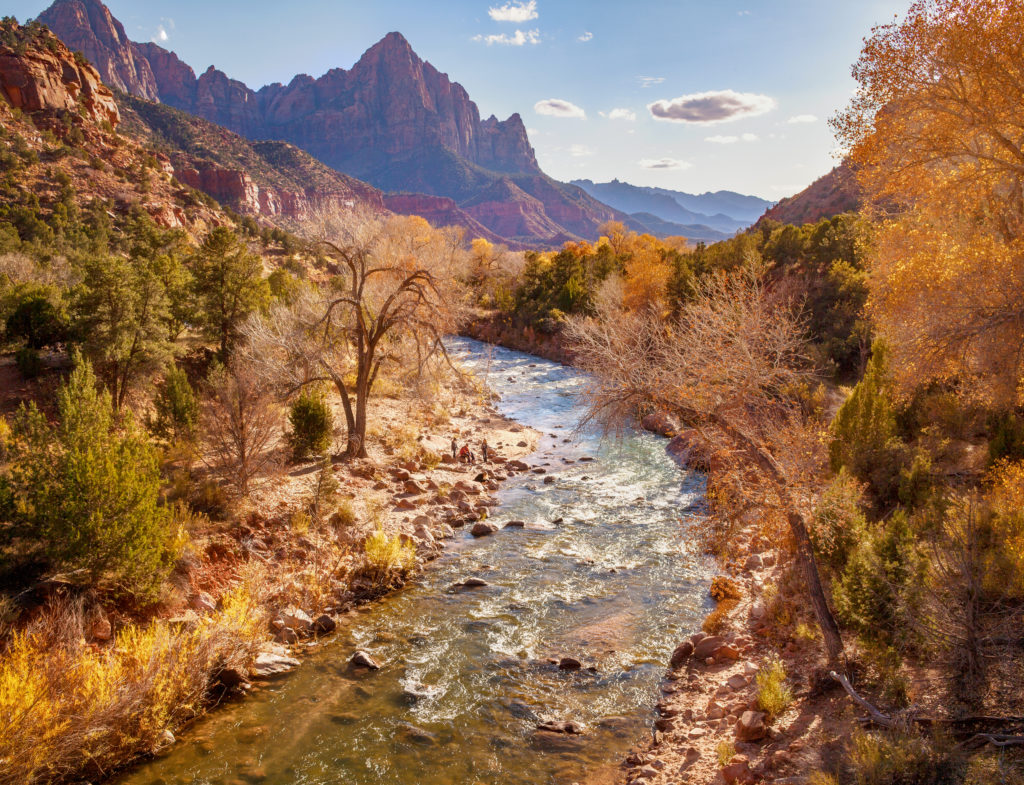 Fall foliage surrounding a stream in Zion National Park, Utah