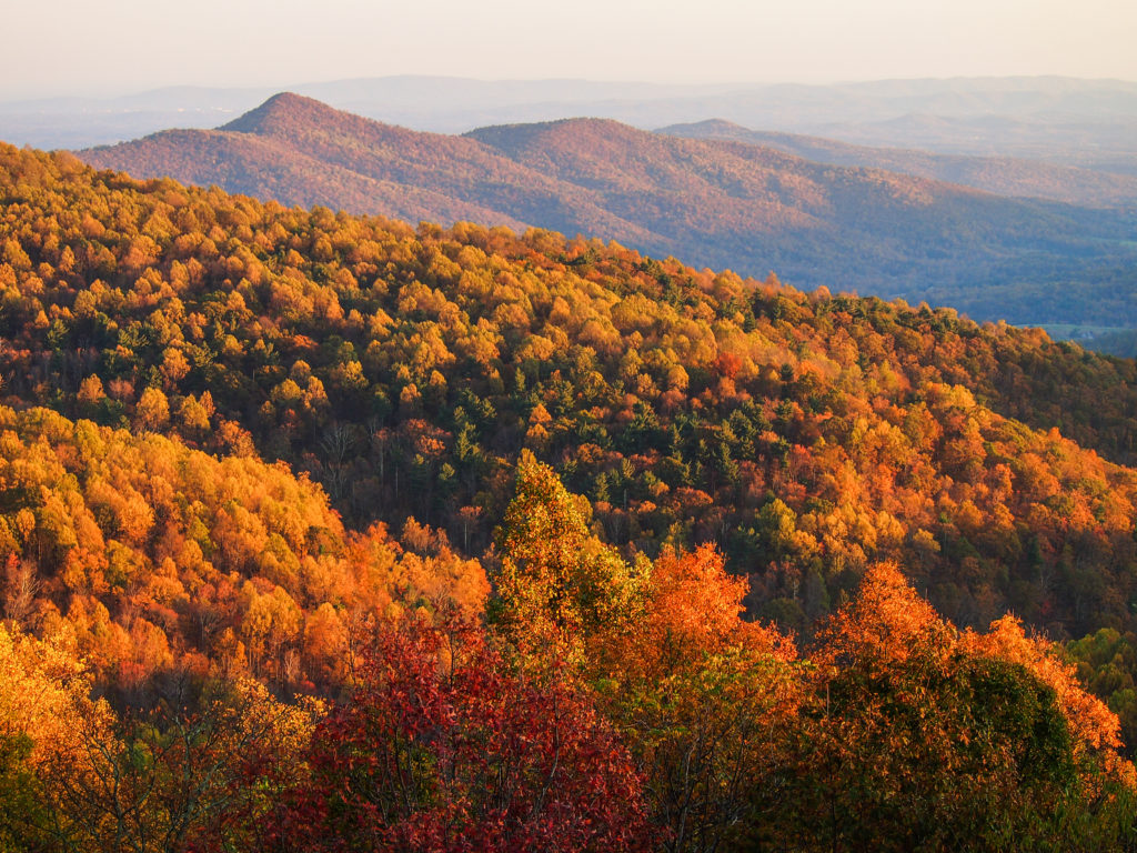 Vista of fall foliage at Shenandoah National Park, Virginia