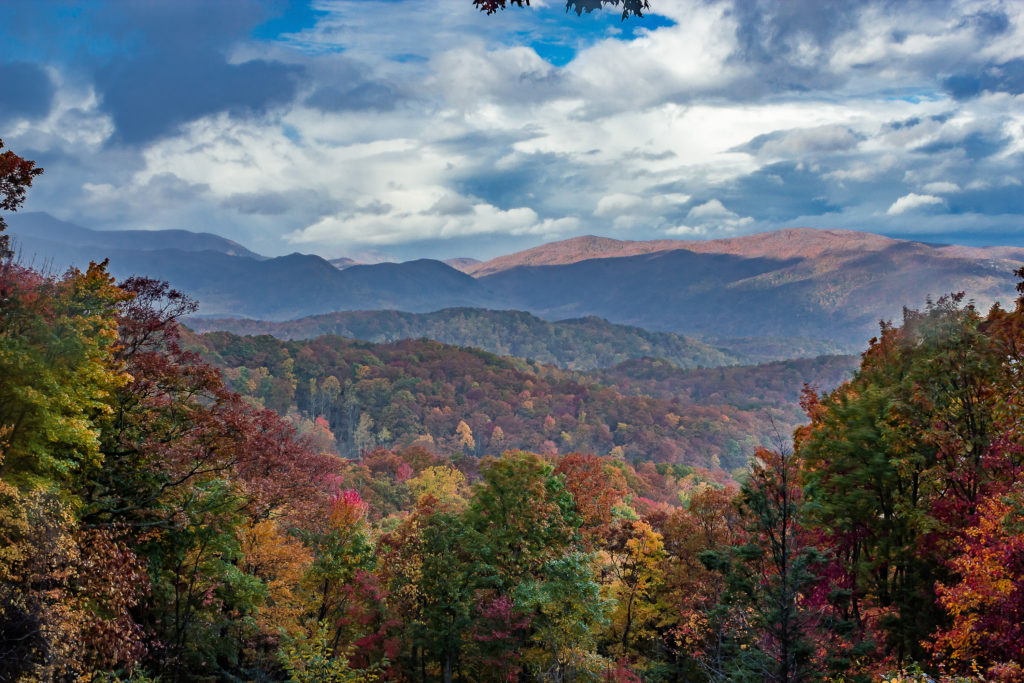 Vista of the fall foliage at Great Smoky Mountains National Park, North Carolina and Tennessee