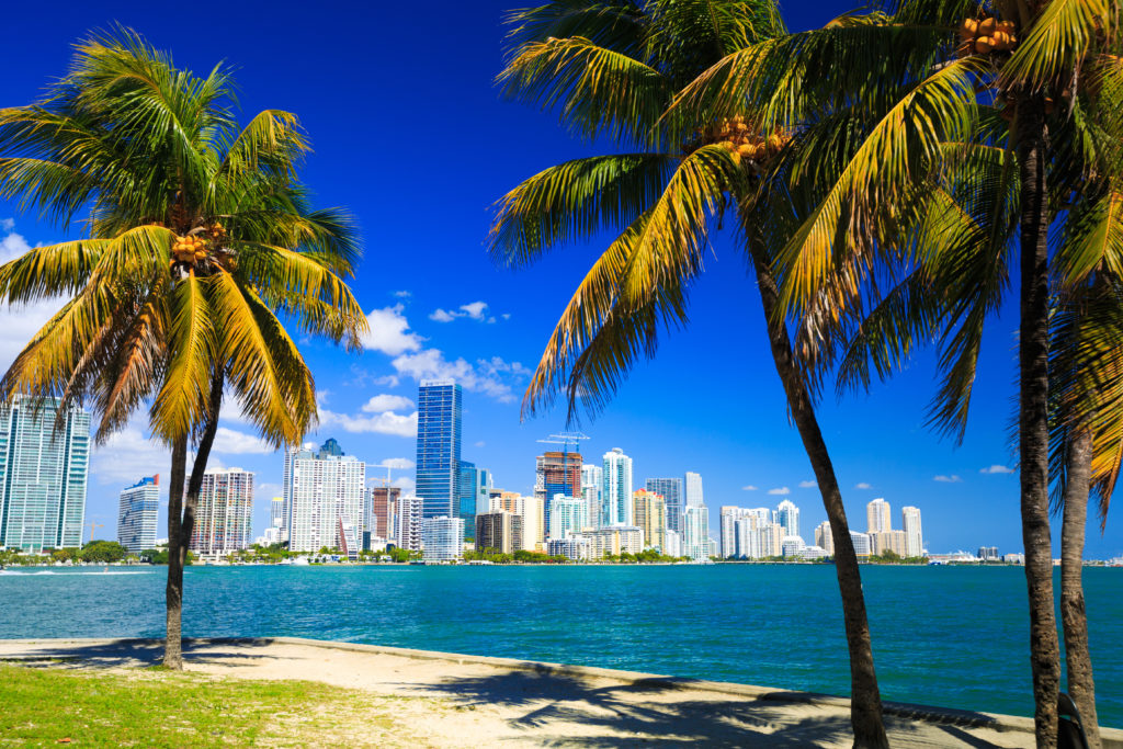 Skyline of Miami, Florida as seen through palm trees
