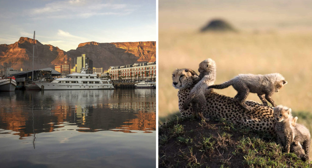 A boat on the water with red rock formations in background (left) and two cheetah cubs and parent playing on a rock in the savannah (right)