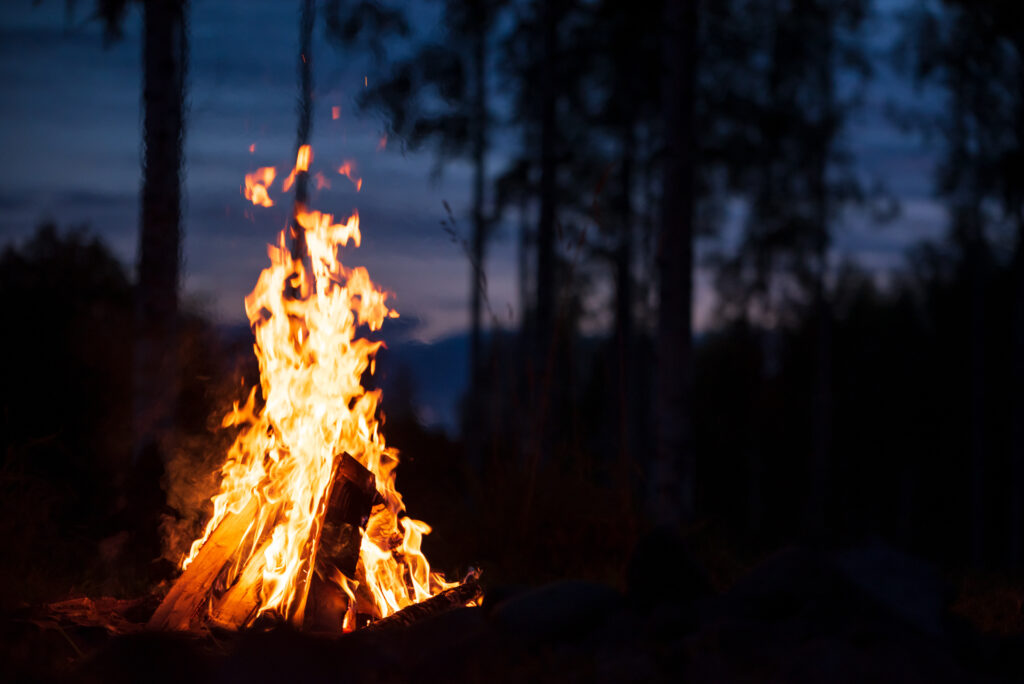 Bonfire in the woods