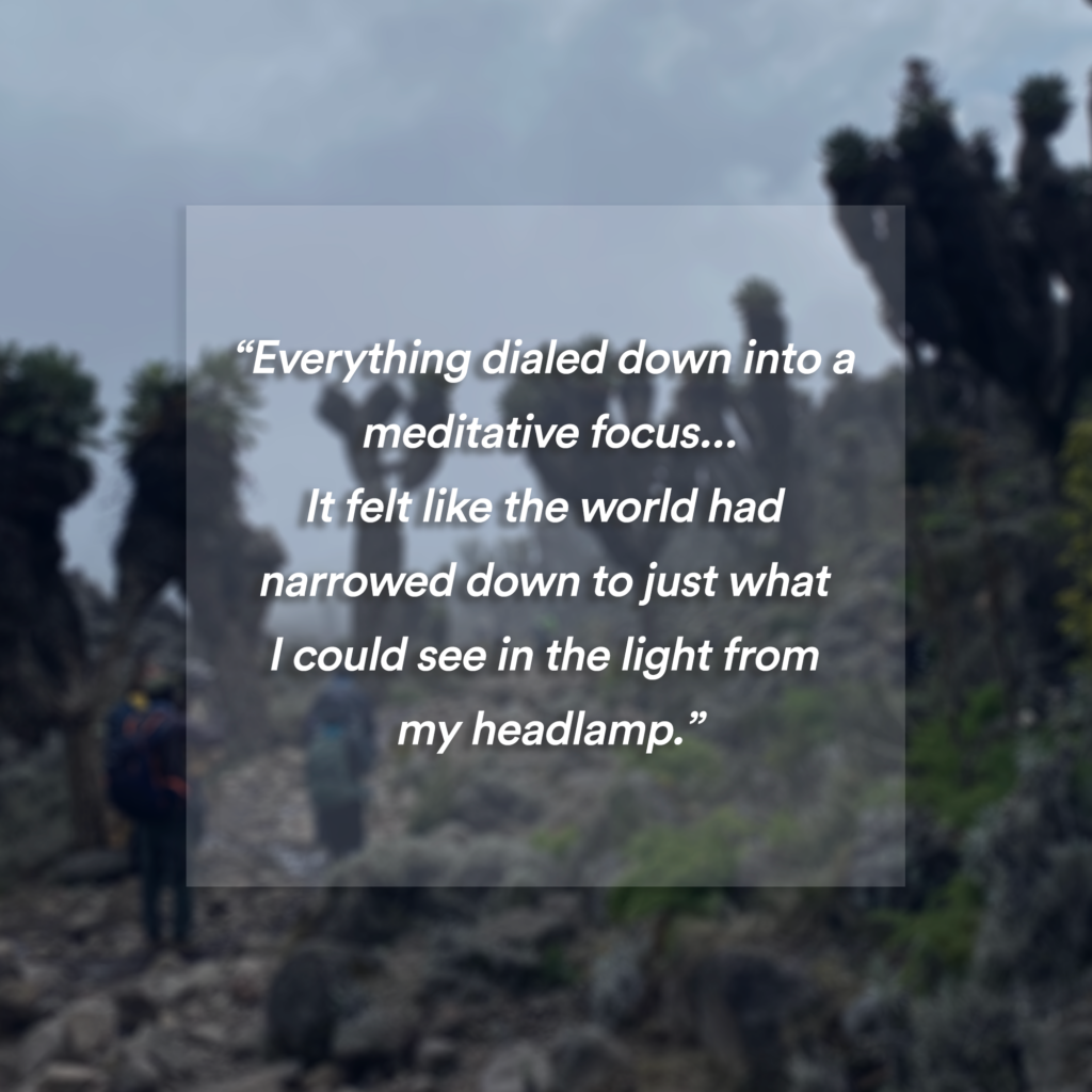 Pull quote superimposed on top of image of hikers climbing through trees on Mount Kilimanjaro