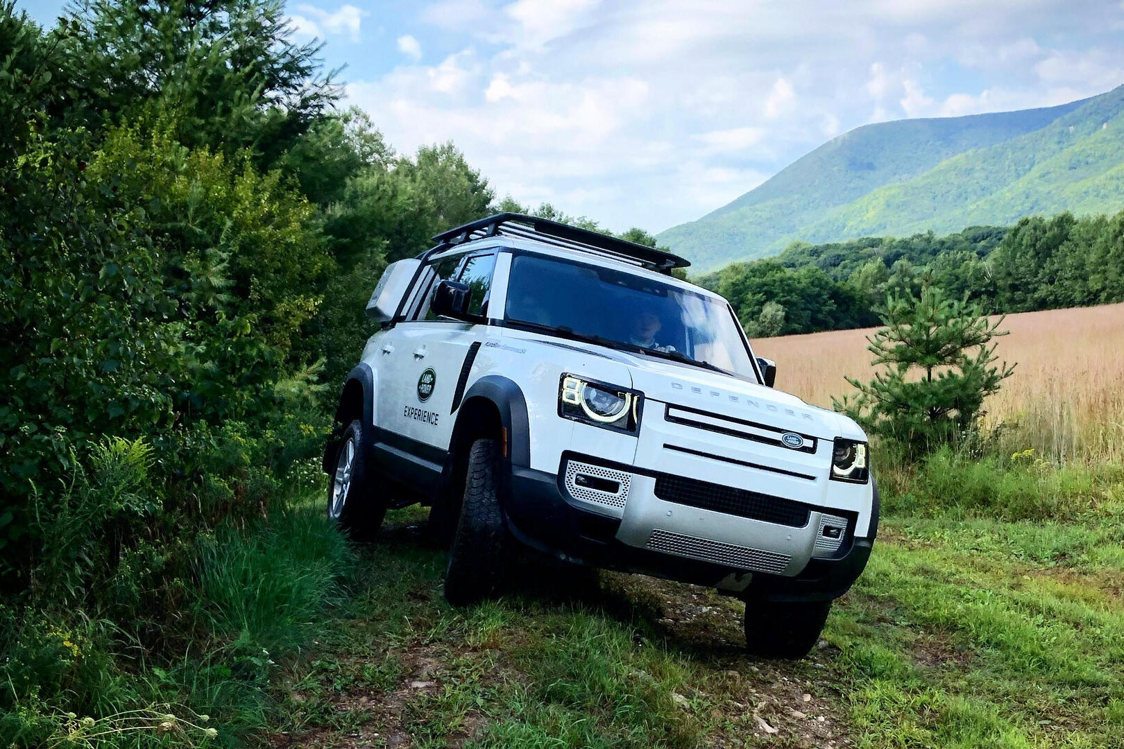 Land Rover driving off road through greenery