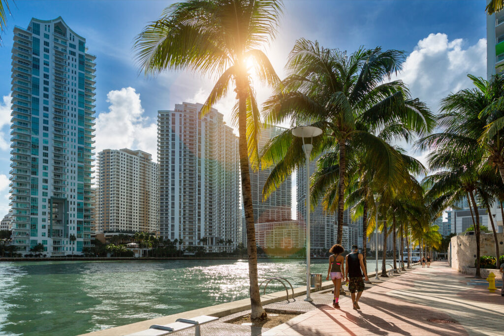 Couple walking on path lined with palm trees against the Miami skyline