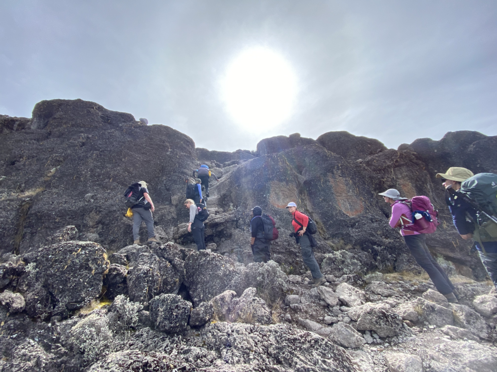 Group hiking up Mount Kilimanjaro on the Lemosho Route