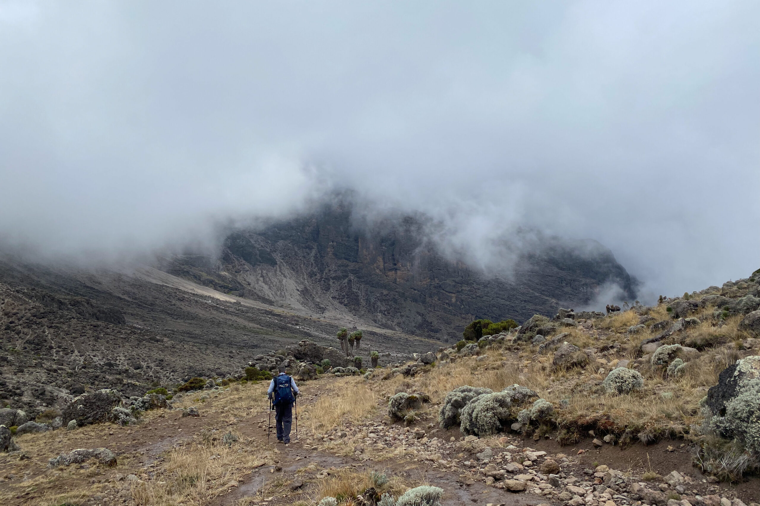 Lone person hiking a foggy cloudy trail up the Lemosho Route on Mount Kilimanjaro