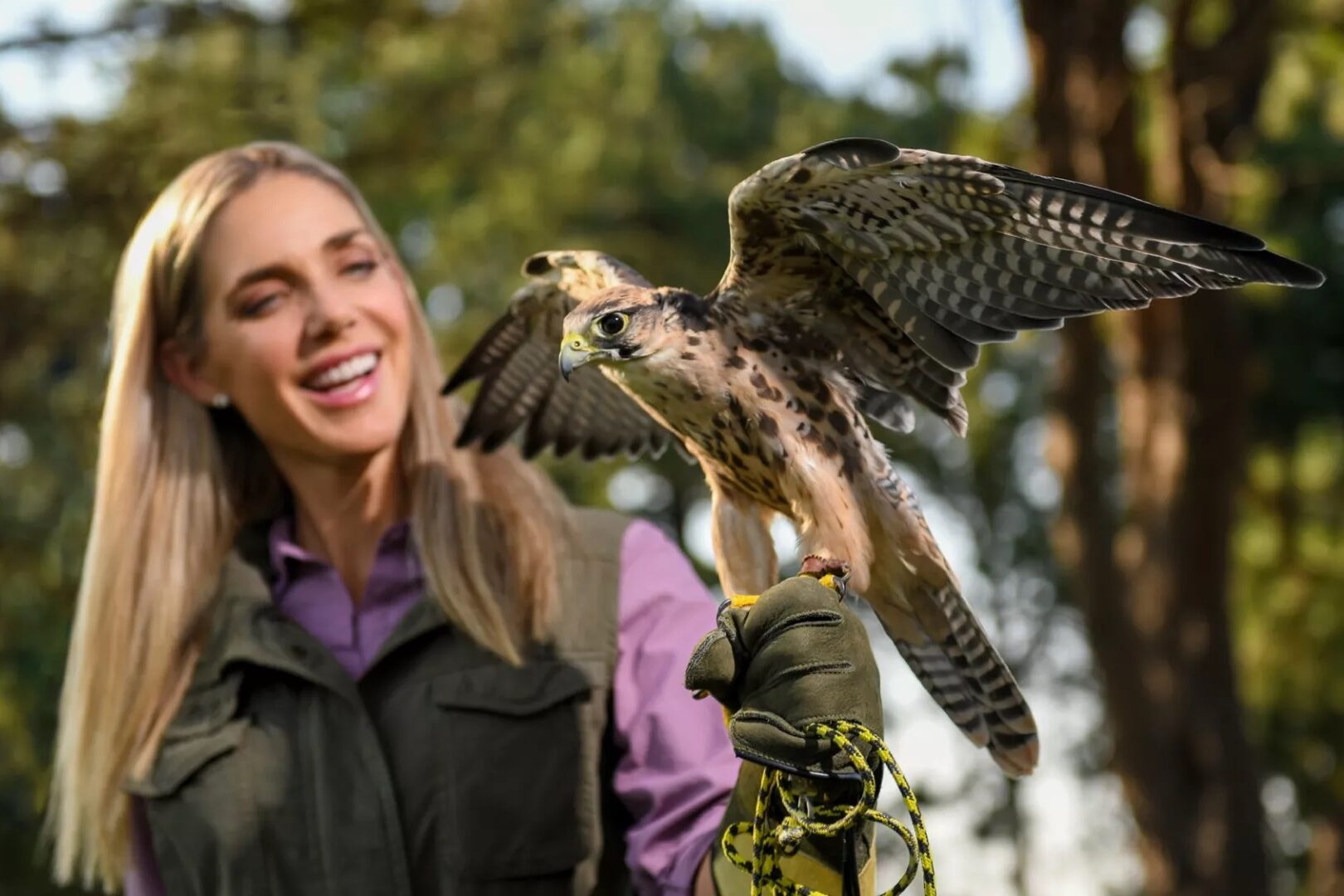 Woman with falcon perched on her glove hand