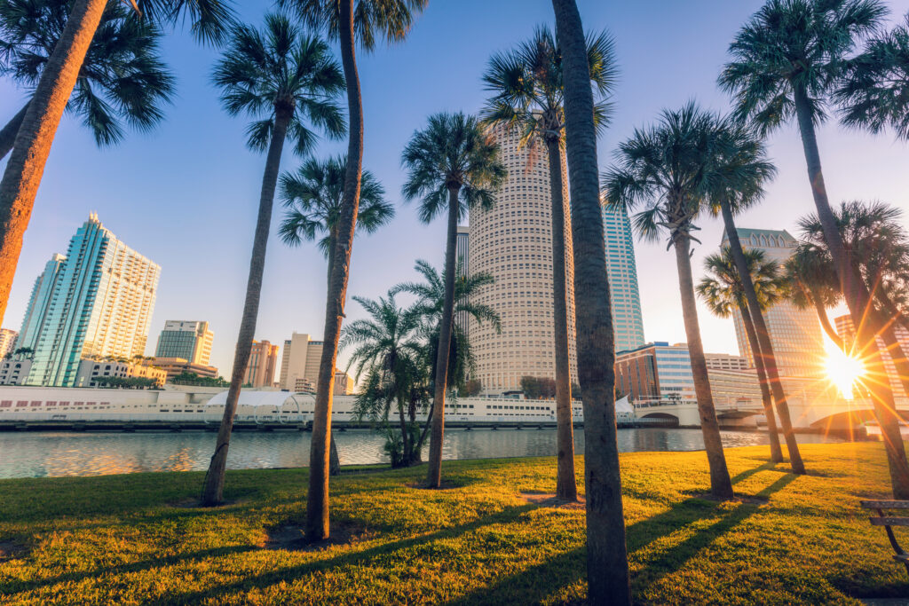 Low angle image of the Tampa, Florida skyline at sunset with palm trees in the foreground