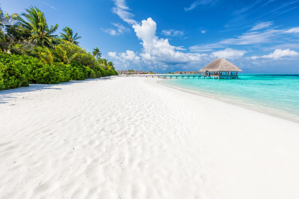White sand beach in The Maldives, a top baby moon destination
