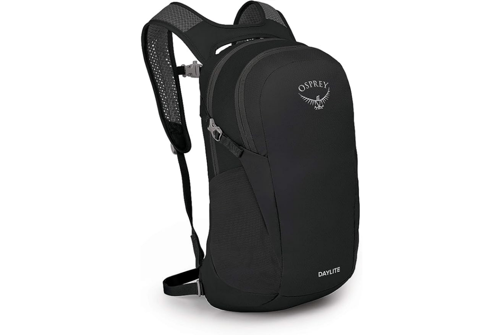 Daylite Everyday Backpack on a white background