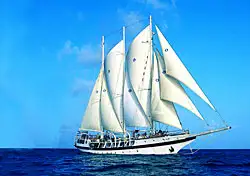 Is Windjammer sailing again or not?