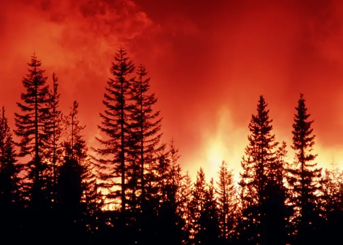 Wildfires blacken Southern California travel