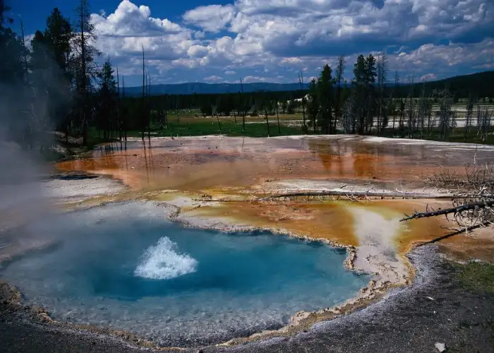 In-car guides for Yellowstone and Grand Tetons