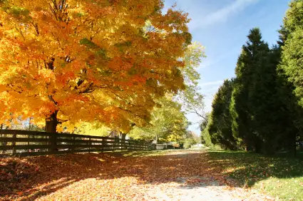 Appalachian Fall Foliage Tour, Ohio
