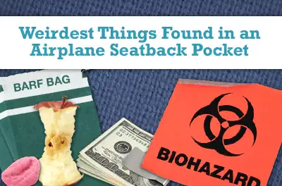 Weirdest Things Found in an Airplane Seatback Pocket