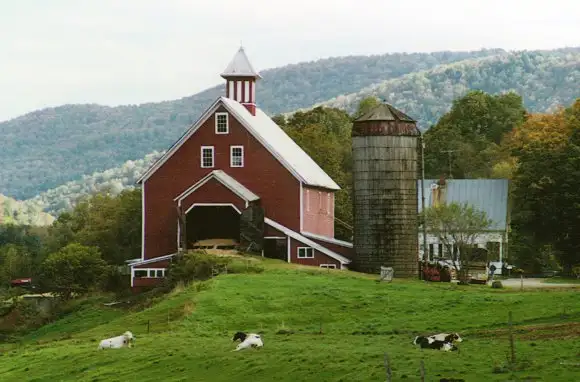 Great For Localvores... Liberty Hill Farm Inn (Rochester, Vermont)