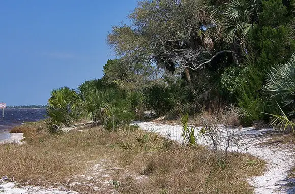 Tomoka State Park, Florida