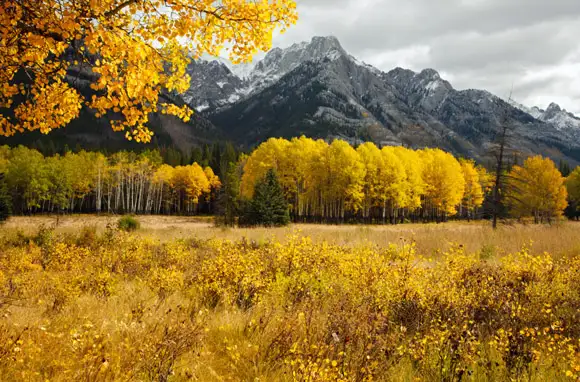 Alberta, Canada