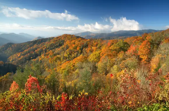 North Carolina