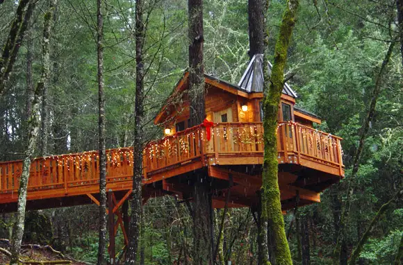 Vertical Horizons Treehouse Paradise - Cave Junction, Oregon