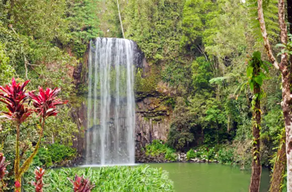 Wet Tropics Of Queensland, Australia