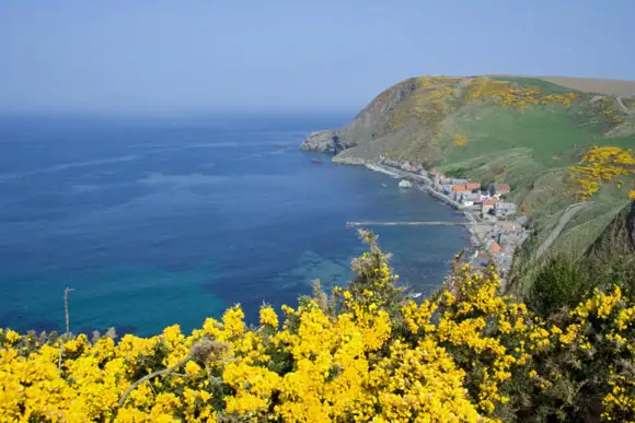 Crovie Cottage, Crovie, Scotland