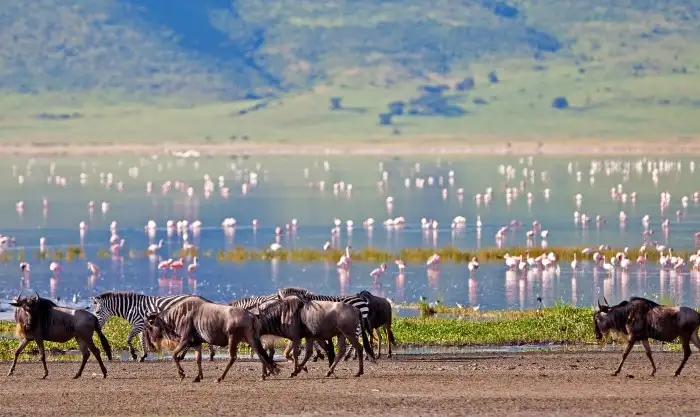 Daily Daydream: Ngorongoro Crater, Tanzania