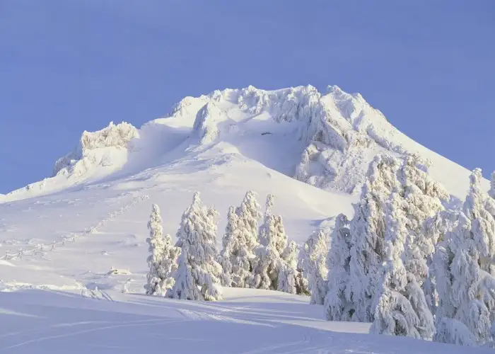 Palmer Snowfield, Oregon: Year-Round Snow