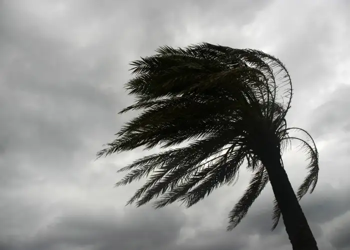 Tropical Storm Isaac Grounds Hundreds of Flights