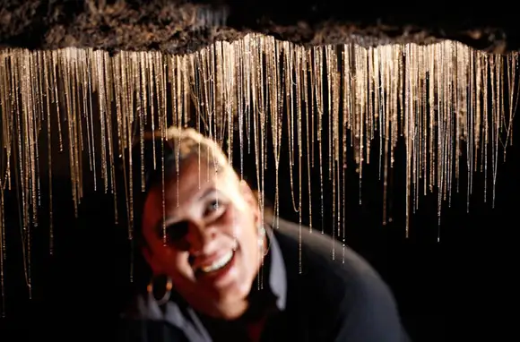 Waitomo Glowworm Caves, Waitomo, New Zealand