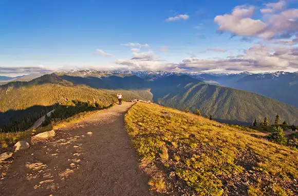 Hurricane Hill Trail, Port Angeles, Washington