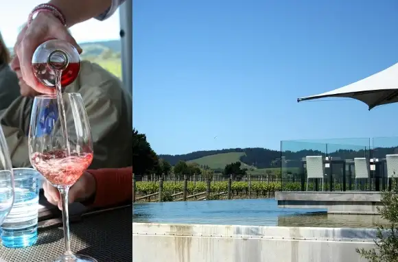 Elephant Hill Winery, Te Awanga, Hawke's Bay