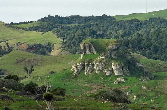 Port Waikato, North Island