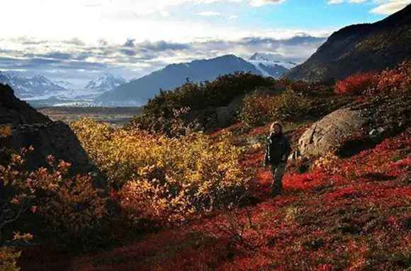 Ultima Thule Lodge, Southeastern Alaska