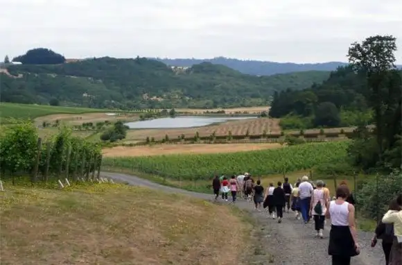 Willamette Valley, Oregon: Follow A Wine Trail
