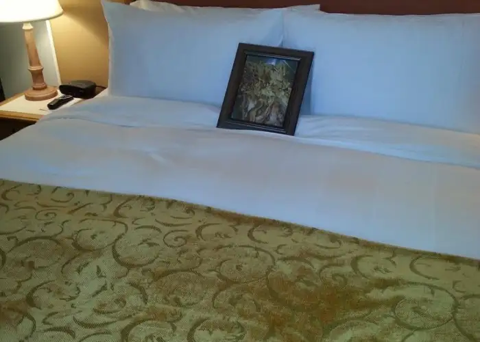 Guests Shocked When Hotel Fulfills Bizarre Request