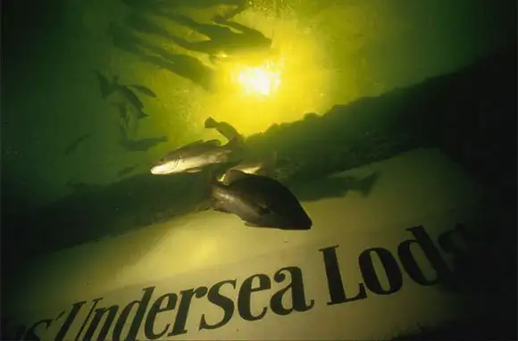 Jules' Undersea Lodge, Florida